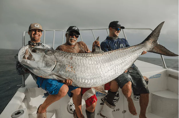 What Is the Biggest Tarpon Ever Caught?